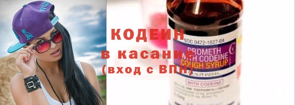 молекула духа Козловка