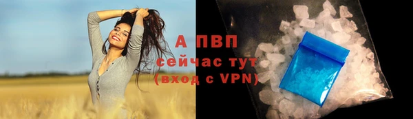 молекула духа Козловка