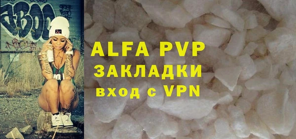 молекула духа Козловка