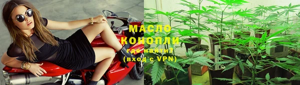 молекула духа Козловка